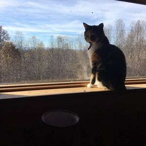 Meet your Posher, Vicky